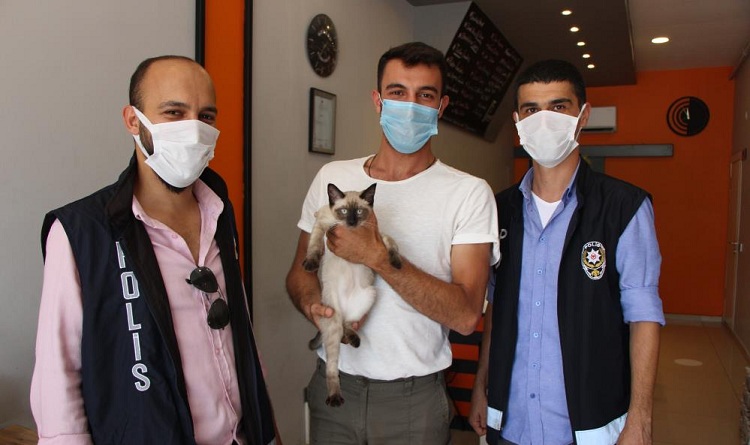 Kayıp kedi Çorum’da bulundu