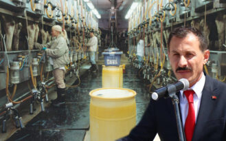 Çorum’a yem ve süt tozu fabrikası