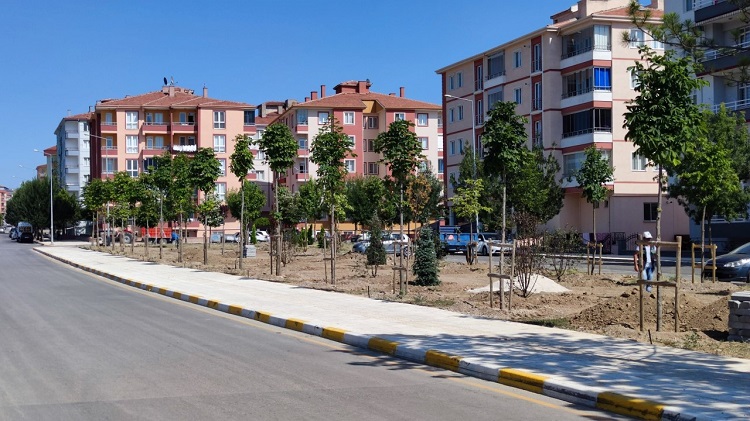 Çorum’da yeşil alanlar çoğaltılacak