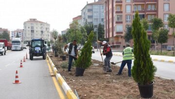 Mahallerde yeşil alanlar çoğalıyor