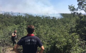 Çorum’da orman yangını çıktı!