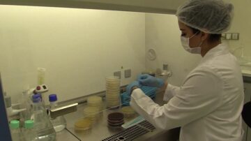 Bu testi Hitit Üniversitesi yapıyor