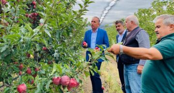 Çorum’dan 14 ülkeye elma ihracatı
