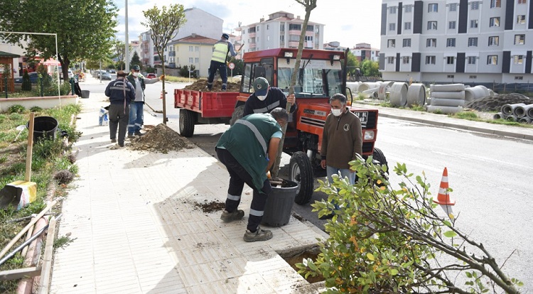 Daha yeşil bir Çorum için