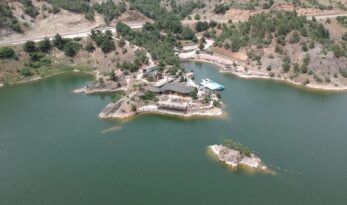 Altın Koz marka tescili aldı