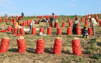 7 yaşındaki çocuk kurtarılamadı!