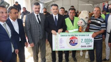 En güzel düveler güzellikte yarıştı