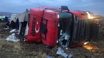 Devrilen tırda hayvanlar telef oldu