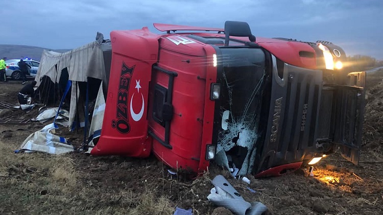 Devrilen tırda hayvanlar telef oldu