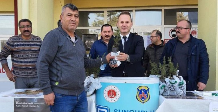 Vatandaşa ücretsiz fidan dağıtıldı