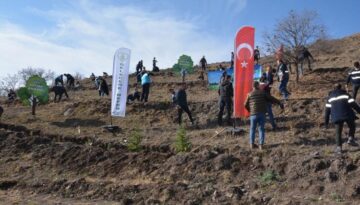 Hatıra ormanına 10 bin fidan dikildi