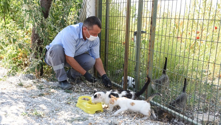 Her gün aralıksız hizmete devam