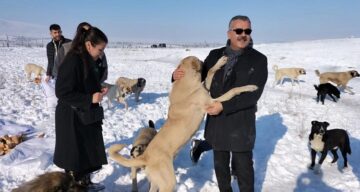 Başkan can dostları elleriyle besledi