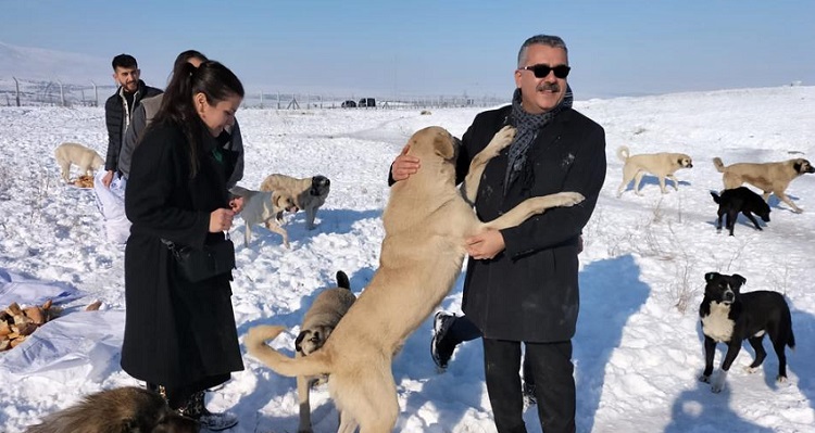 Başkan can dostları elleriyle besledi