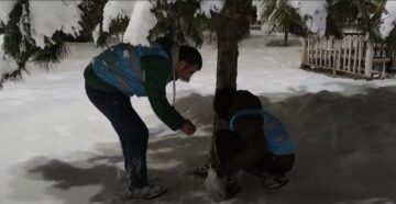 Gençler hayvanlara yiyecek bıraktı