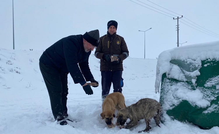 Sokak hayvanları unutulmadı