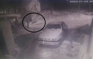 Aç kalan kurt köye indi!