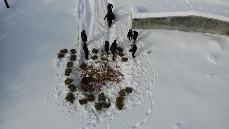 Yaban hayvanlarına 1 ton yem bırakıldı