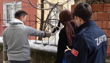 Korkuluğa saplanan kedi kurtarıldı