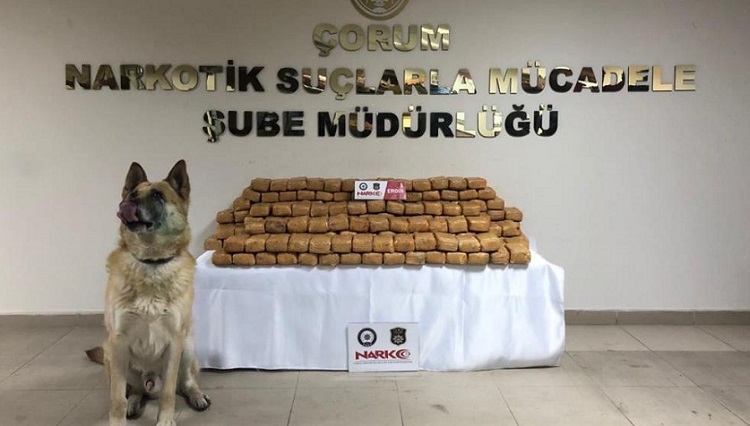 Uyuşturucu tacirlerine geçit yok!