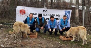 Doğada yaşayan hayvanları beslediler