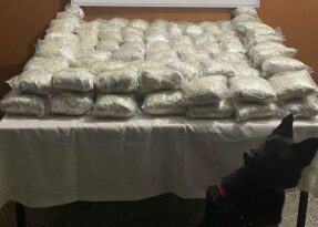 Otobüsten çıkan eroin şaşırttı!