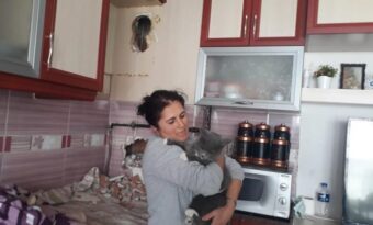 Yaramaz kediyi itfaiye kurtardı!