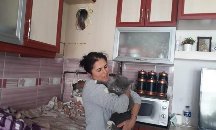 Yaramaz kediyi itfaiye kurtardı!