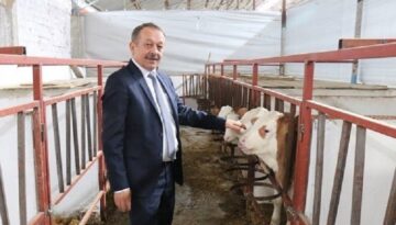 Buzağı desteği başvuruları başladı