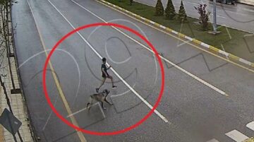 Köpekten kaçarken ağır yaralandı!