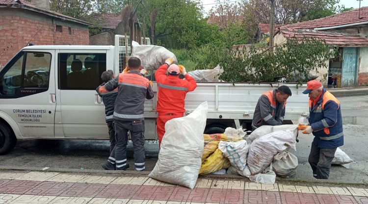 Arayın Belediye gelip alsın!