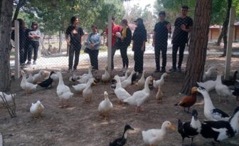 Çocukların gözde mekanı oldu