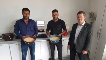 Çorum’da hububat sezonu başladı