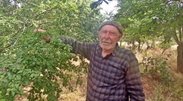 Arı gibi çalışıyor gençlere taş çıkarıyor