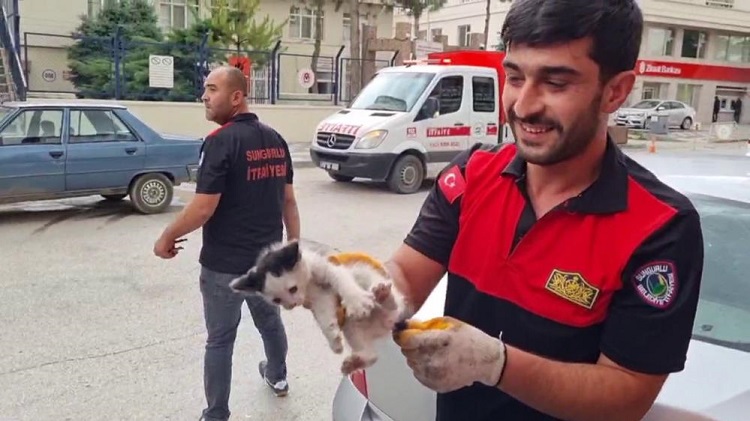 Yavru kediyi motordan çıkardılar!