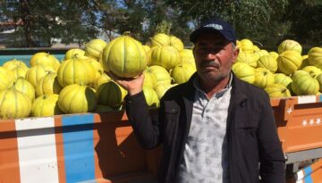 Meşhur 10 dilim kavun tezgahlarda