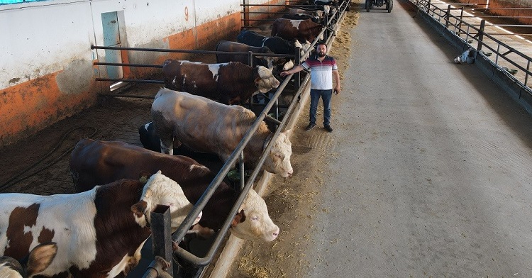 Hekimin hayali gerçeğe dönüştü!