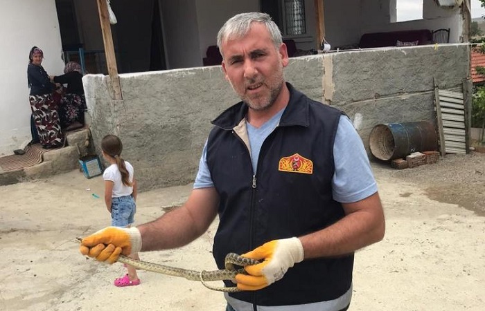 Eve girmişti sonunda yakalandı!