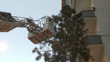 Ağaca takılan güvercin kurtarıldı!