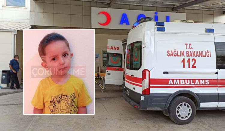 Küçük Poyraz ağır yaralandı!