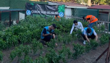 Ülkücü gençlerden örnek proje