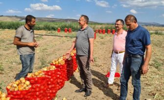 Çorum kuru soğanda söz sahibi!