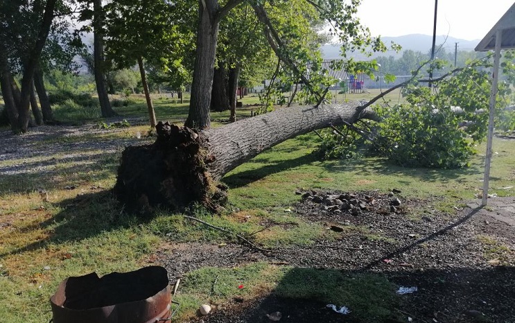 Fırtına ağaçları kökünden söktü!