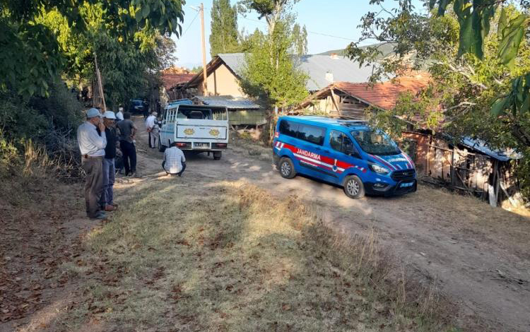 Kardeşini vurup hayatına son verdi!