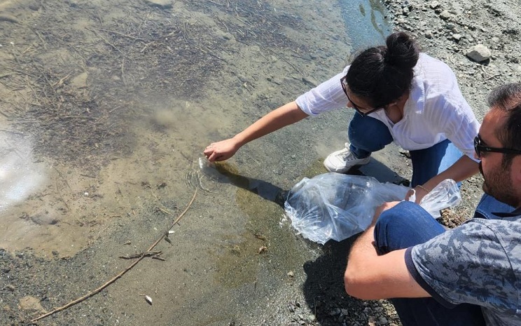 Gölete sazan yavruları bırakıldı