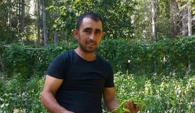 Domuzlar yüzünden canından oldu