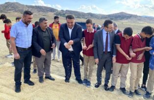 Çeltik hasadını sahada incelediler