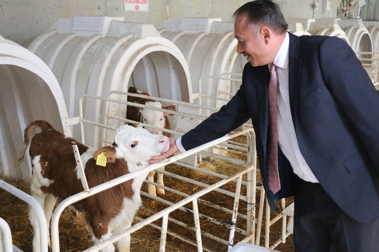 Amacımız aranan pazar olmak