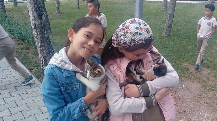 Evcil hayvan parkına yoğun ilgi