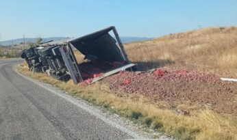 Soğan yüklü tır devrildi